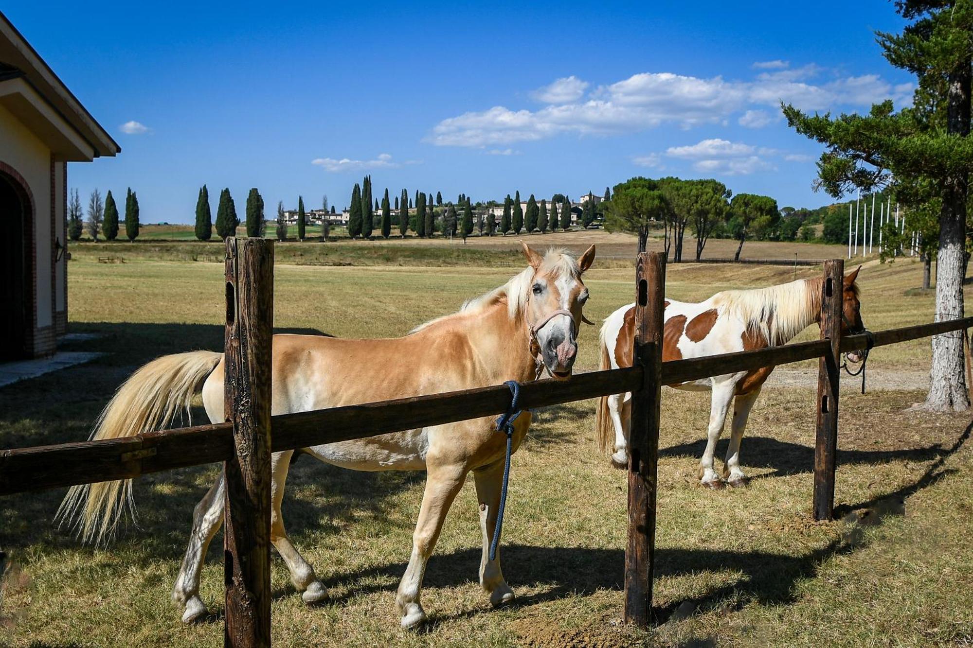 La Bagnaia Golf Resort Bagian luar foto